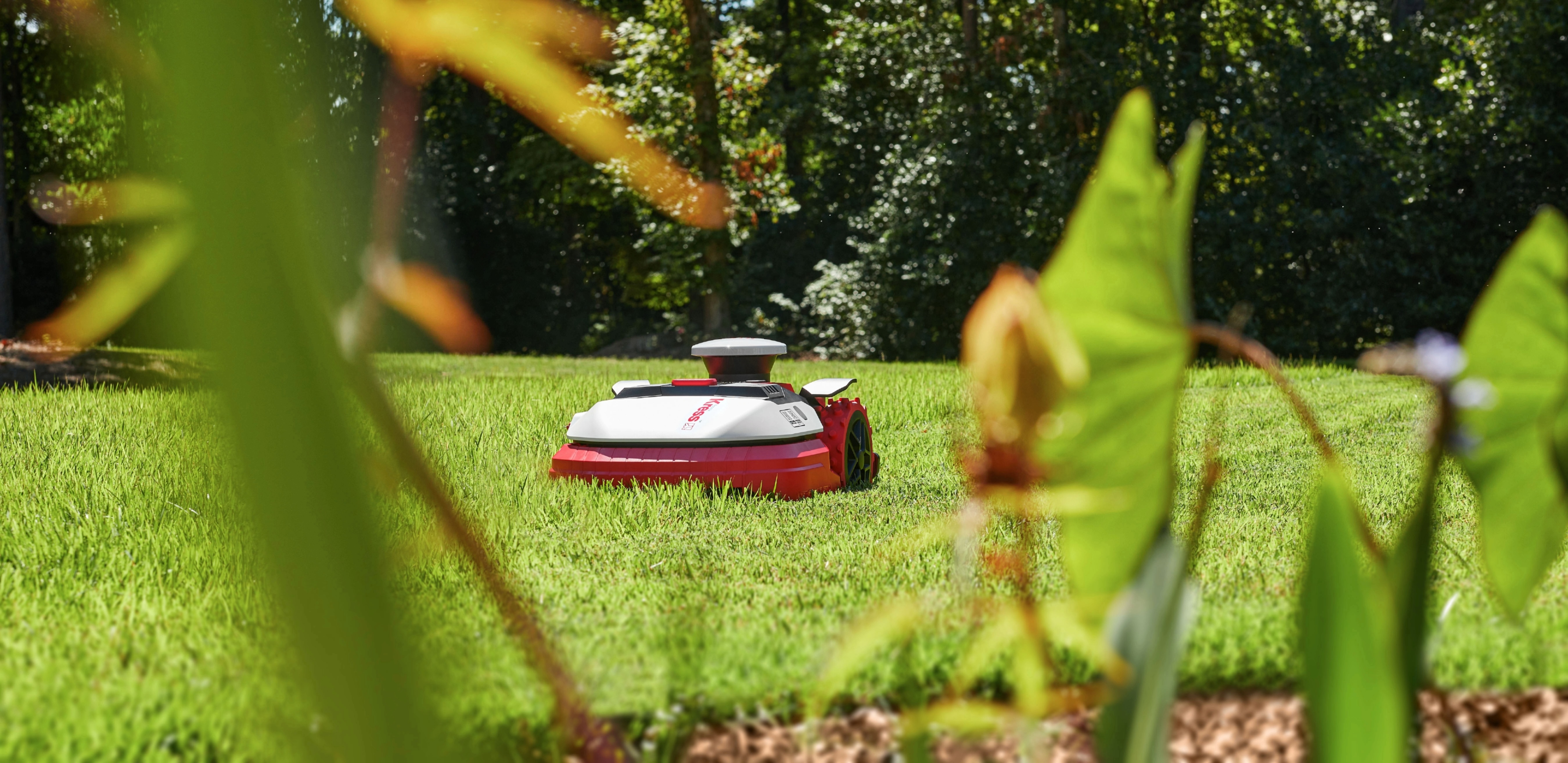 Robot cortacésped 2.000m2